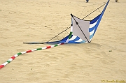 Cervia Cup - Euro Cup 2013 - 228